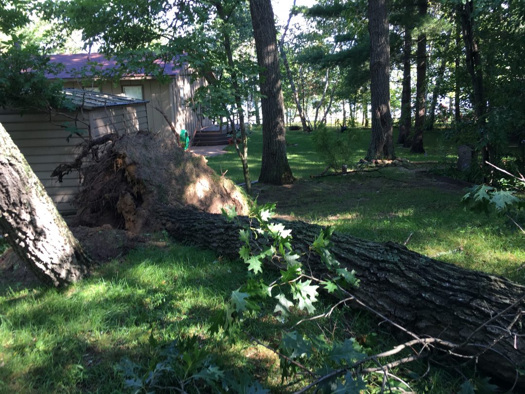 IMG_1749 Horseshoe Lake MN